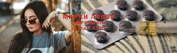 крисы Ельня