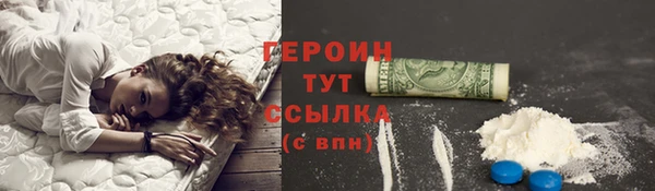 крисы Ельня
