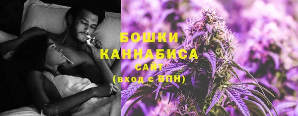 крисы Ельня