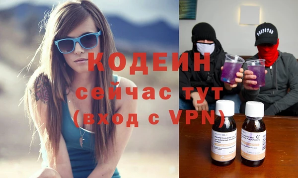 крисы Заводоуковск