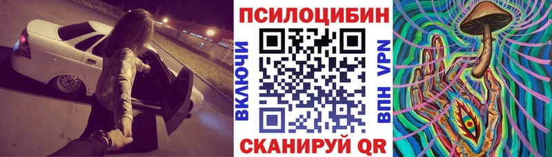 Купить где  Магадан  Галлюциногенные грибы GOLDEN TEACHER 